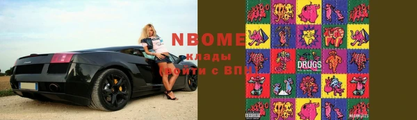 индика Белокуриха