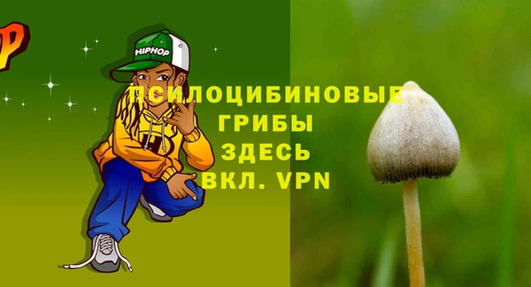индика Белокуриха