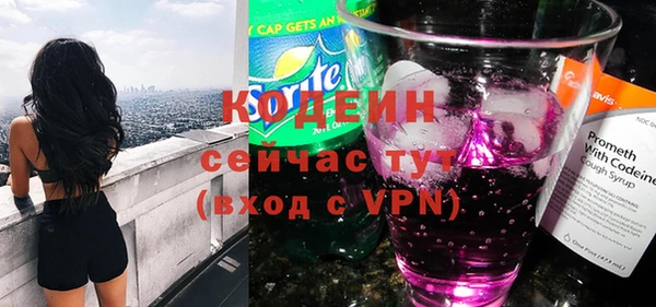 индика Белокуриха