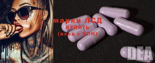 индика Белокуриха