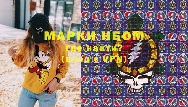 индика Белокуриха