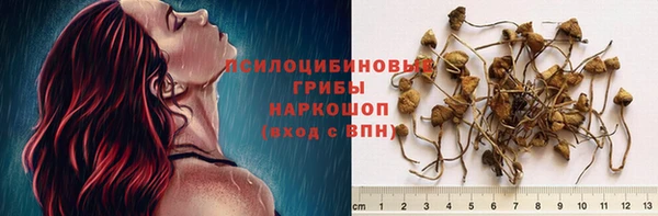 спайс Беломорск